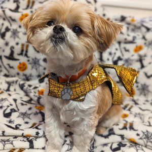 Meet your Posher, Candice